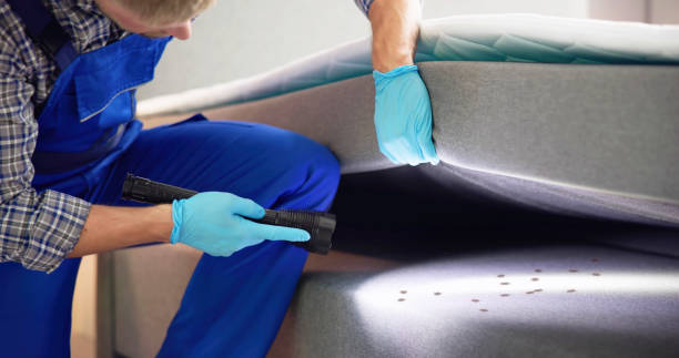 Best Pest Inspection Near Me  in Smithville, TN